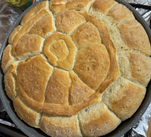 WhatsApp Image 2026-02-02 at 14.28.18